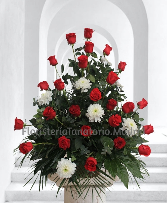 centro funerario rosas margaritas